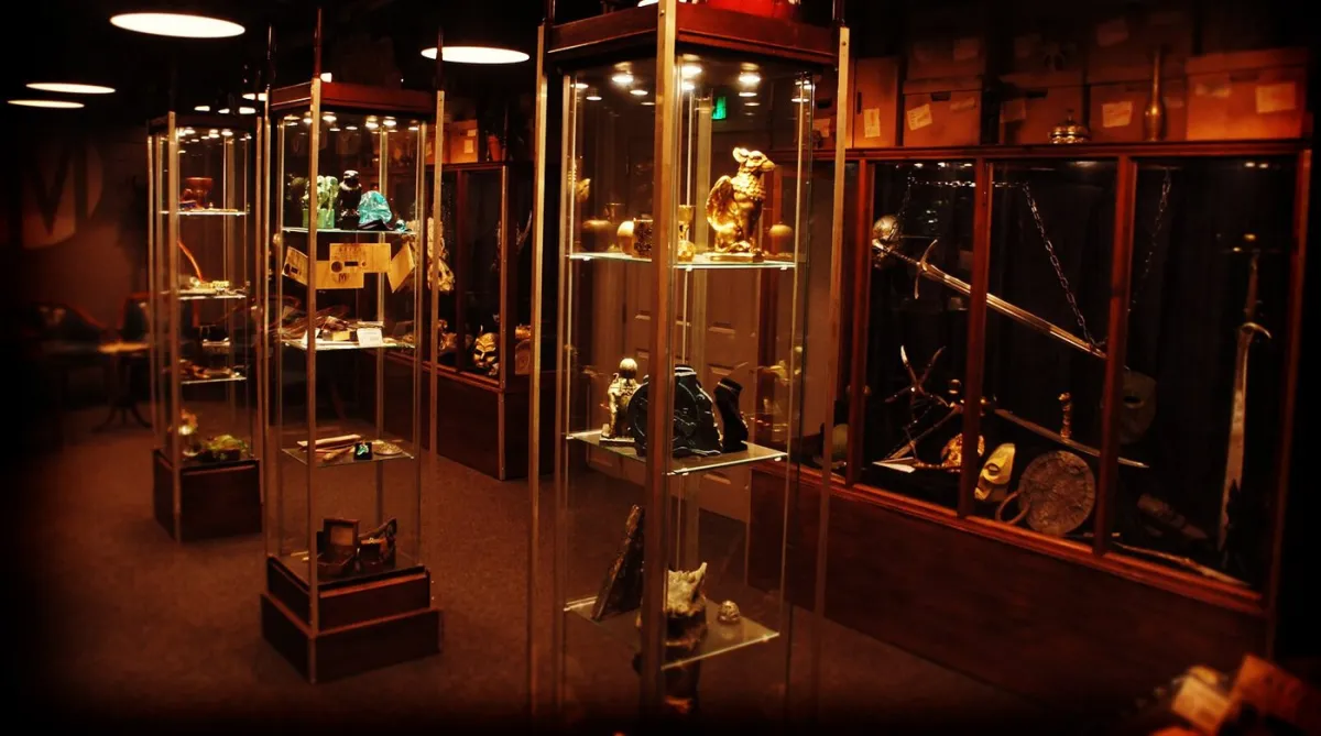 Display cases with various artifacts and collectibles