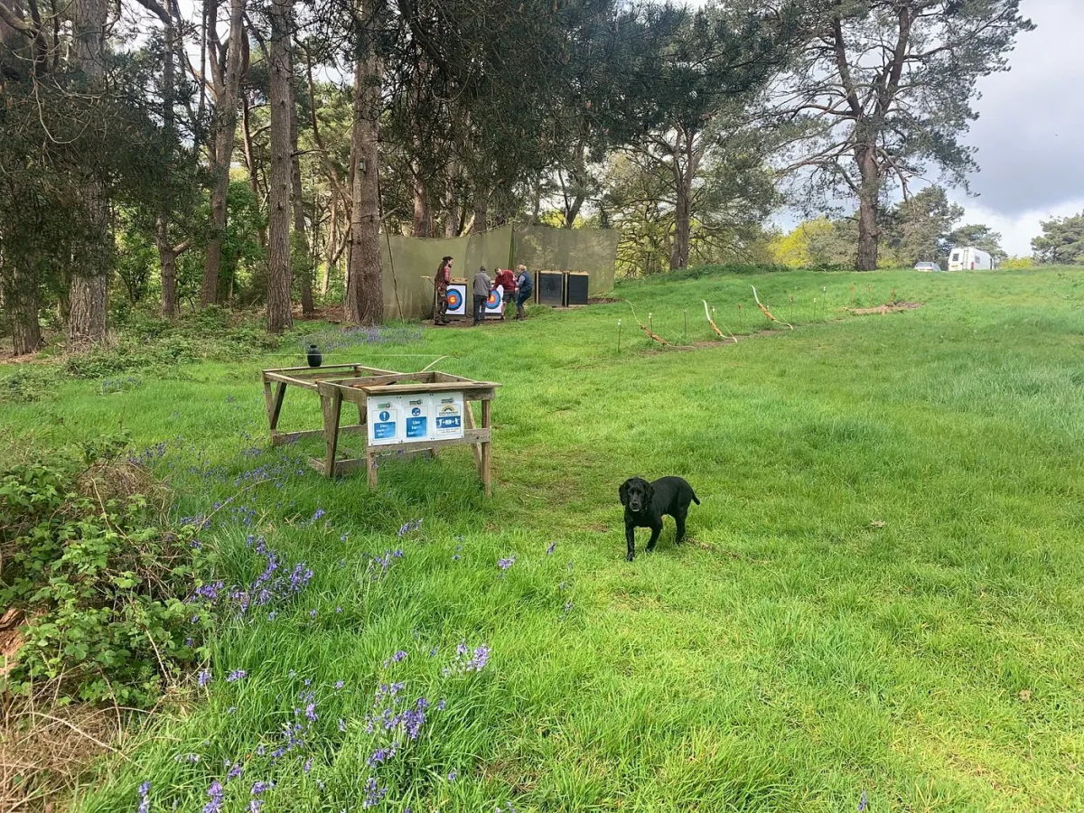 A black dog on a grassy field near archery targets.
