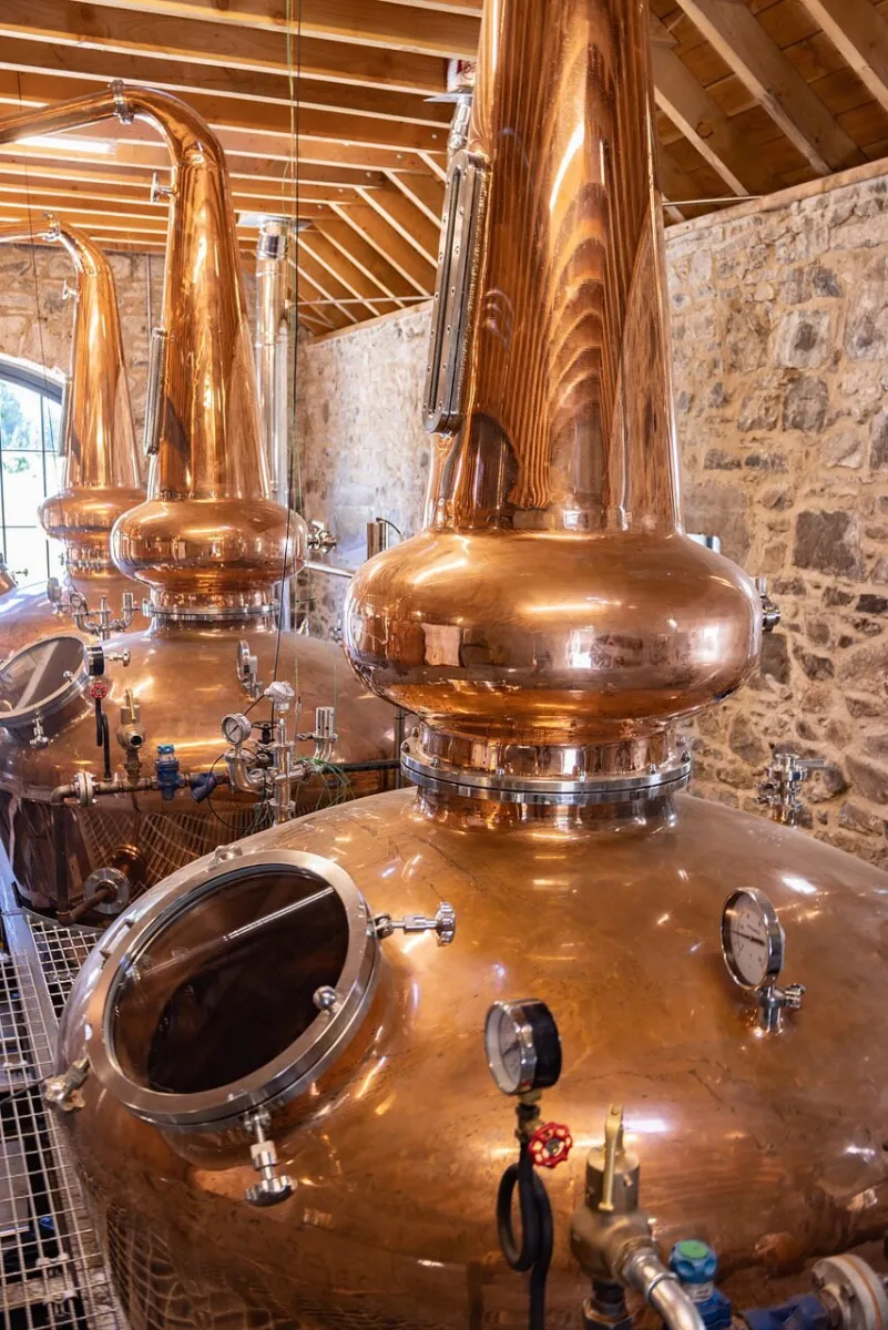 Copper stills in a distillery