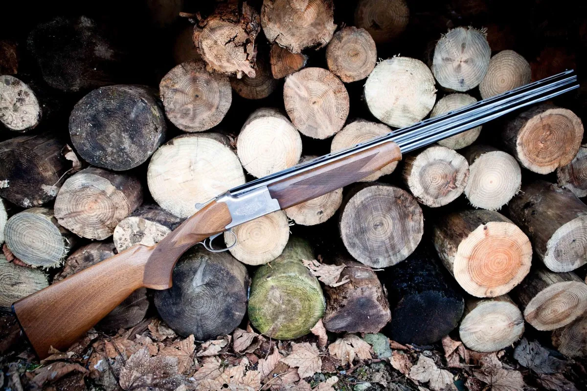 Shotgun resting on stacked logs