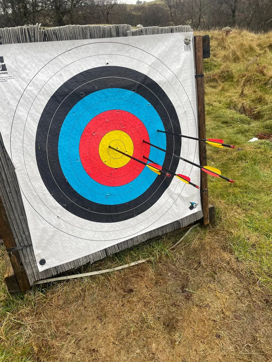 Archery target with arrows on a grassy field.
