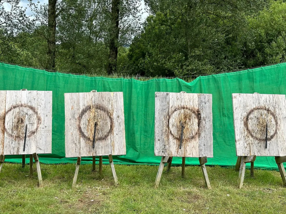 Four wooden targets with axes embedded in them.