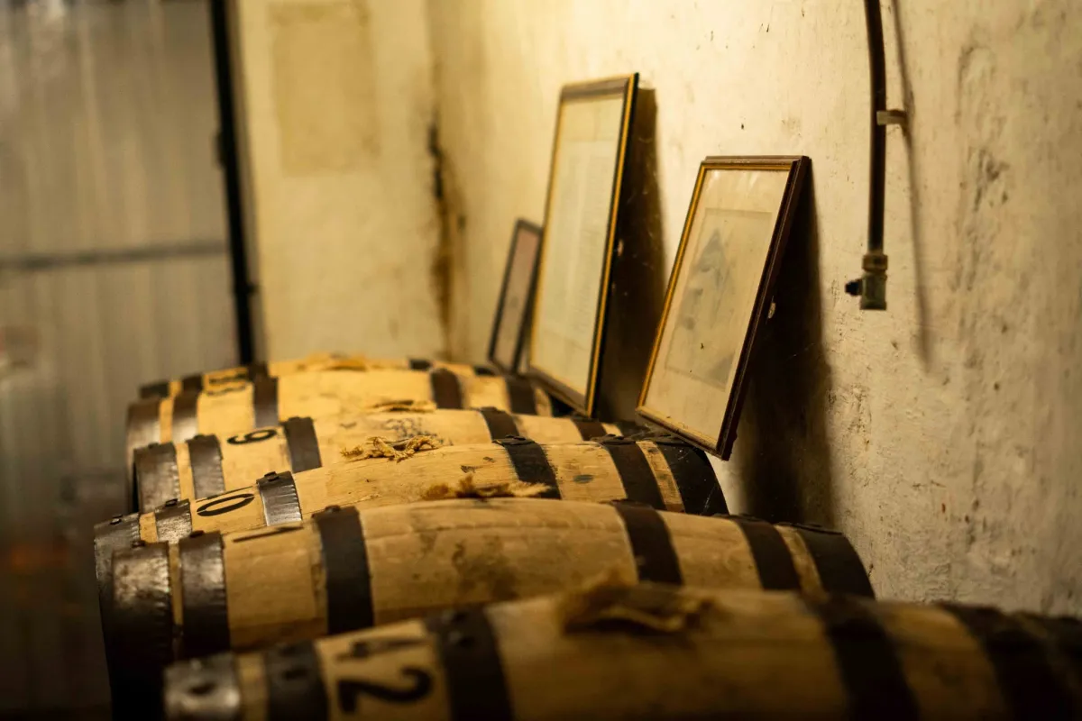 Wooden barrels lined up against a wall with framed pictures.