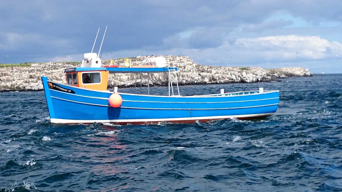 Blue fishing boat on the sea near rocky coastline