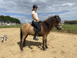 ...