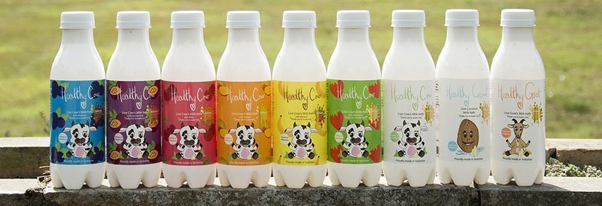 Live Kefir Company