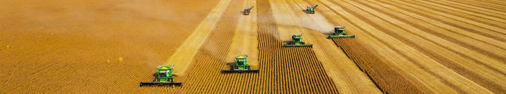 Martin Pears Engineering combines working as a group harvesting wheat
