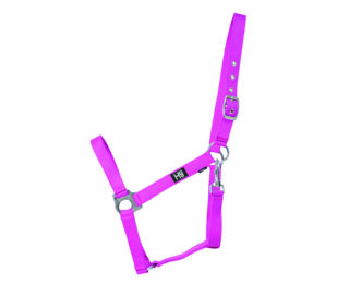 Hy Economy Plus Headcollar