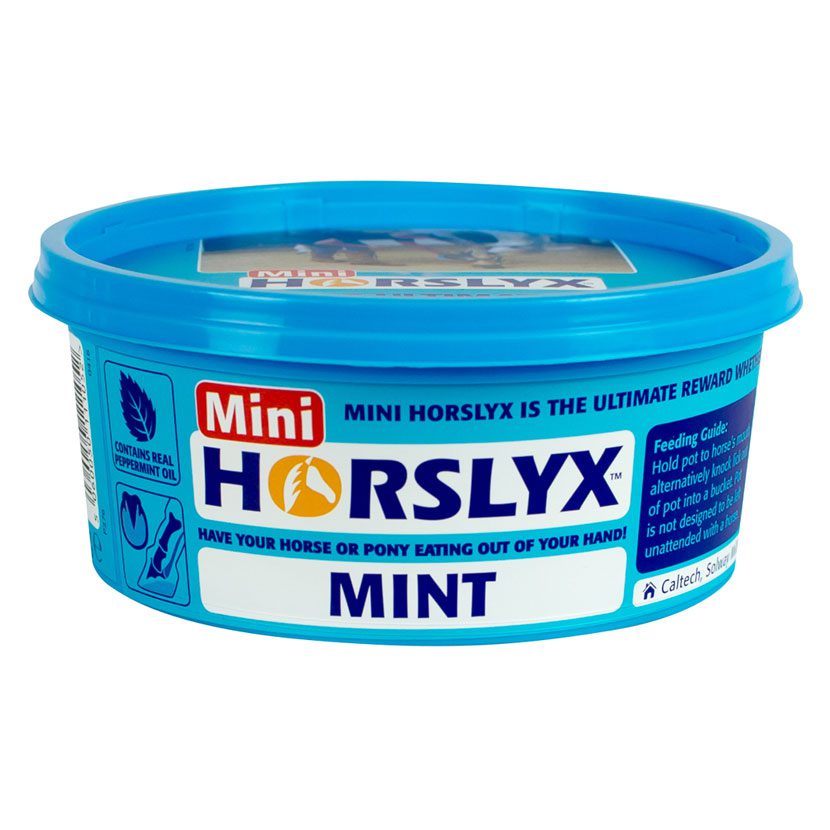 Horslyx Mini Mint Balancer - Image 2