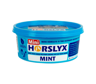Horslyx Mini Mint Balancer