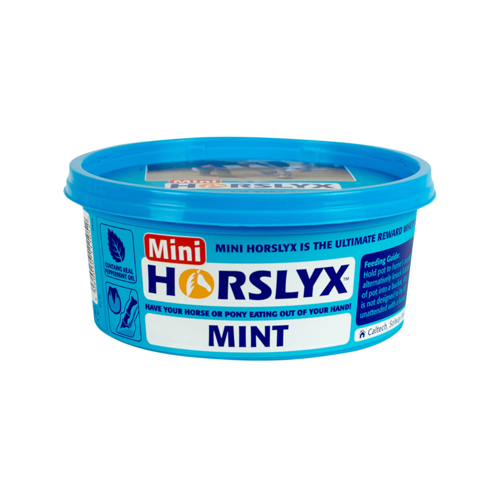 Horslyx Mini Mint Balancer