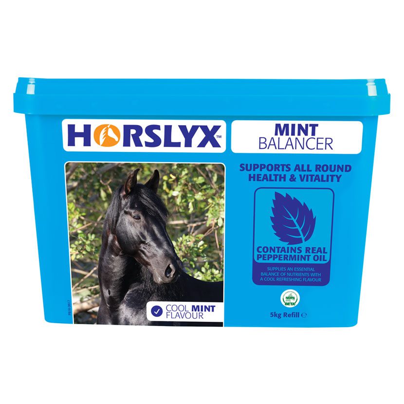 Horslyx Mint Balancer Tub - Image 2