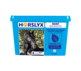 Horslyx Mint Balancer Tub