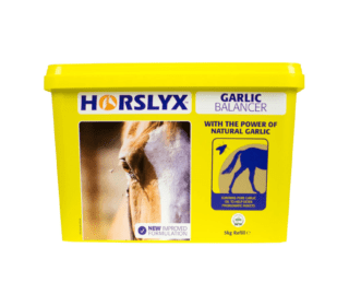Horslyx Balancer Garlic