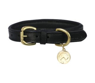Benji & Flo Superior Padded Leather Dog Collar