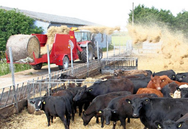 Teagle Tomahawk 1010 - Any Bale, Round or Rectangular - Image 4