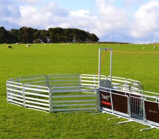 Allflex Alligator Smallholder and Basic Trailer Sheep System