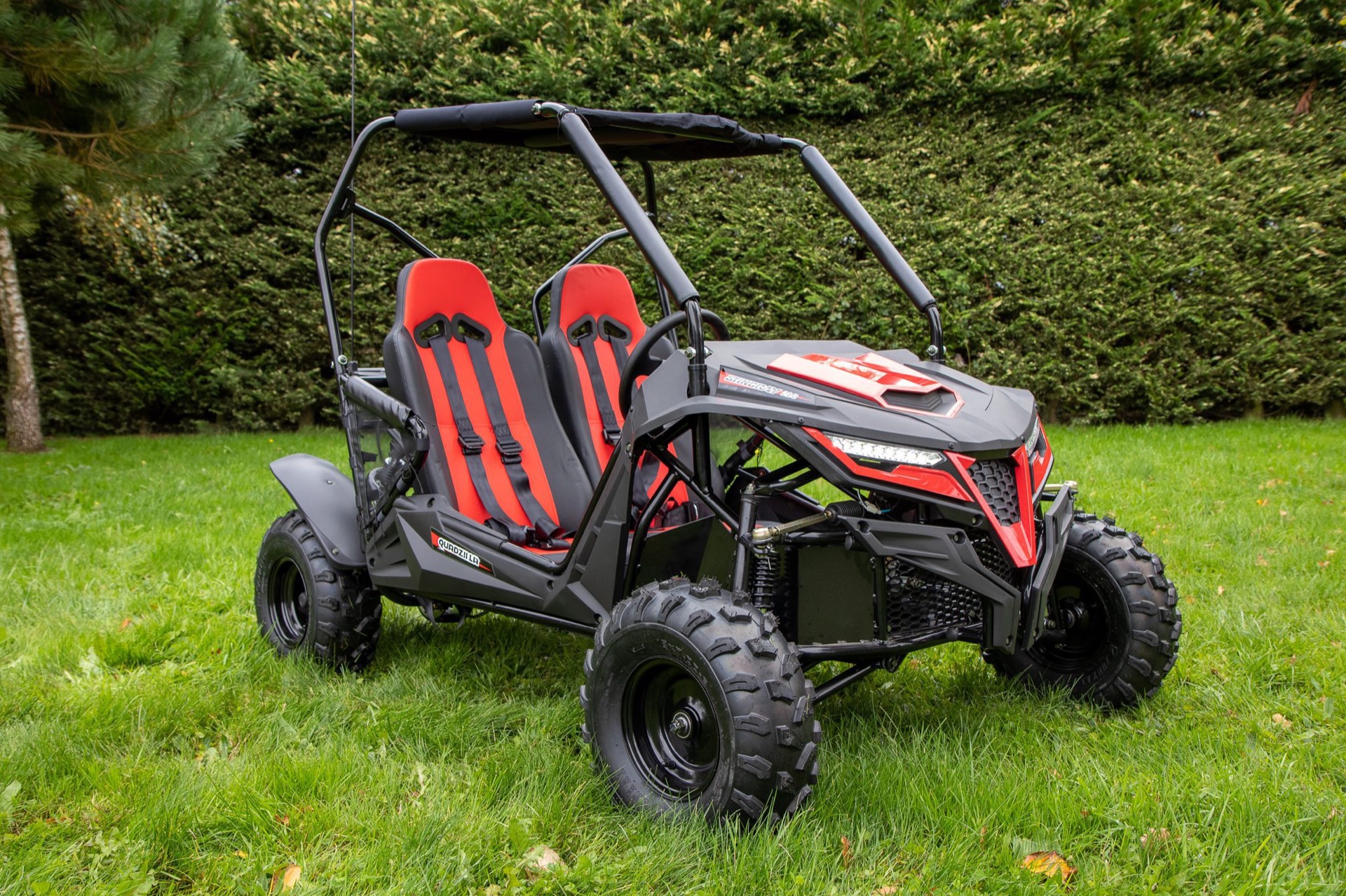 Quadzilla Stingray 210 Side-by-side - Image 2