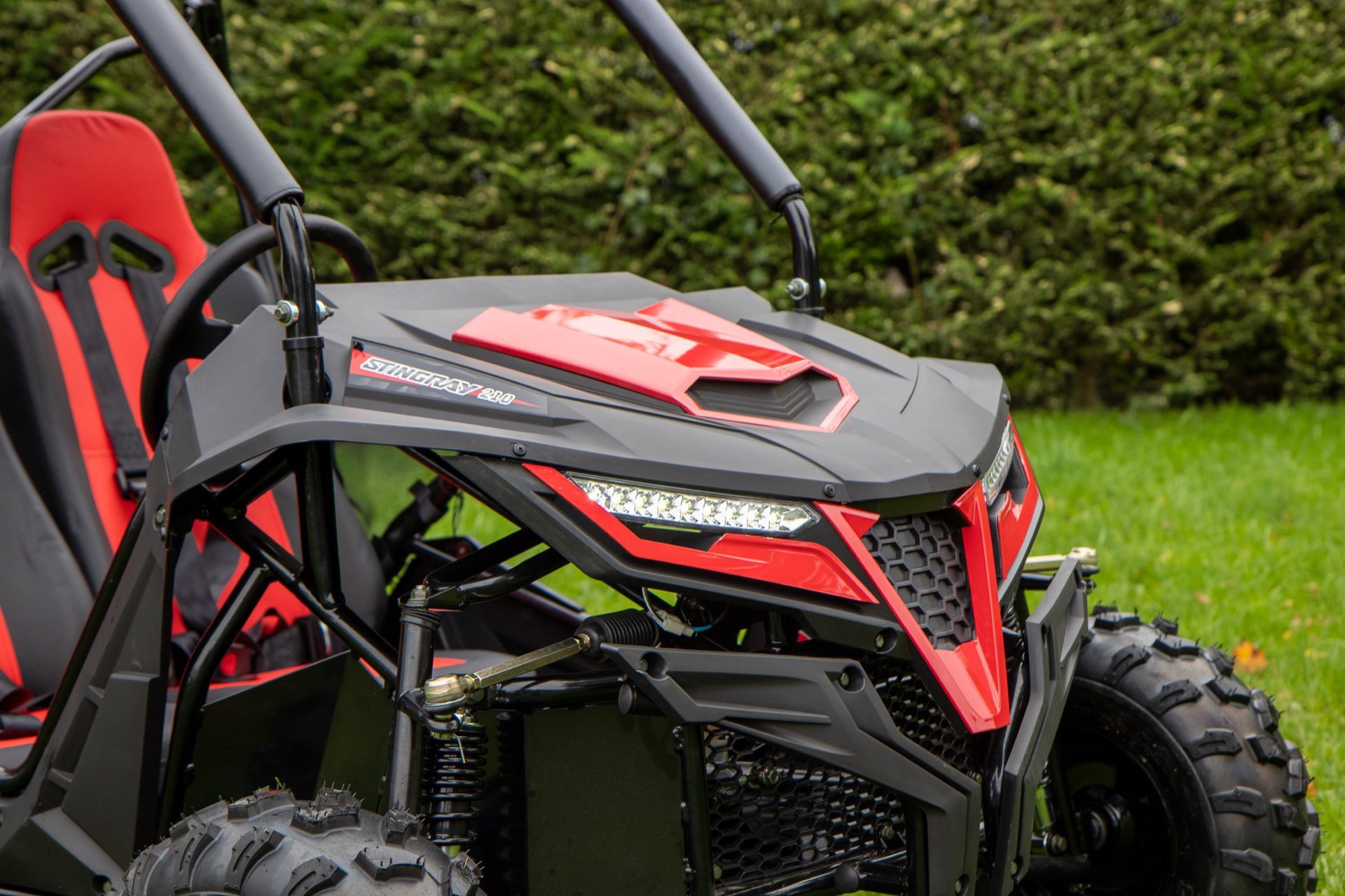 Quadzilla Stingray 210 Side-by-side - Image 7