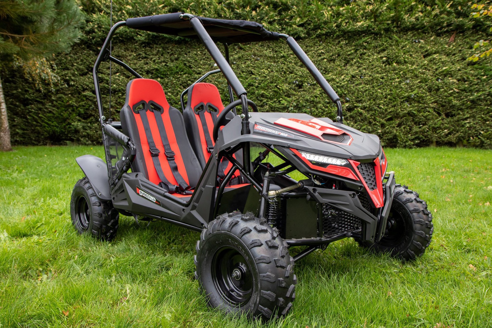 Quadzilla Stingray 210 Side-by-side - Image 6