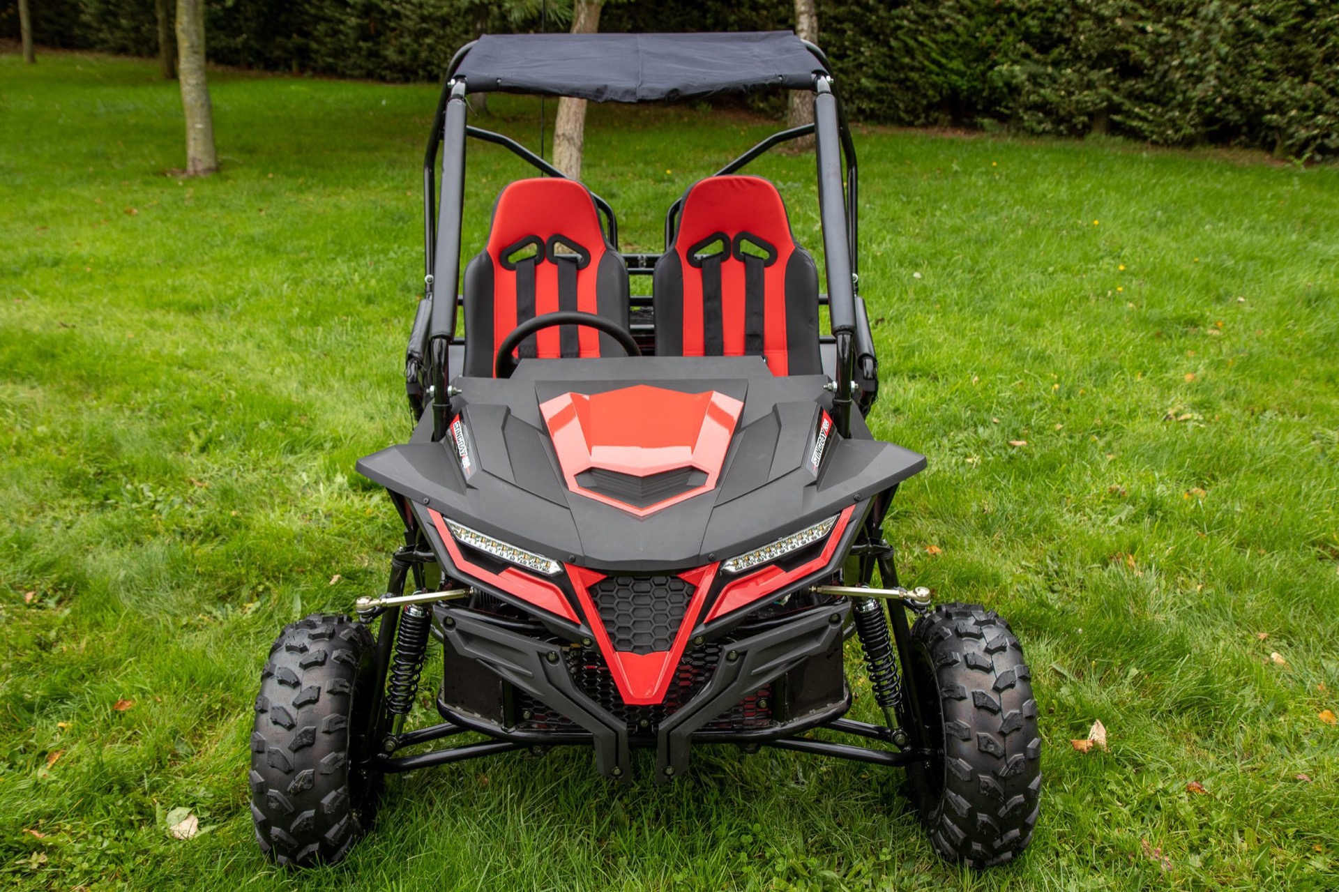 Quadzilla Stingray 210 Side-by-side - Image 5