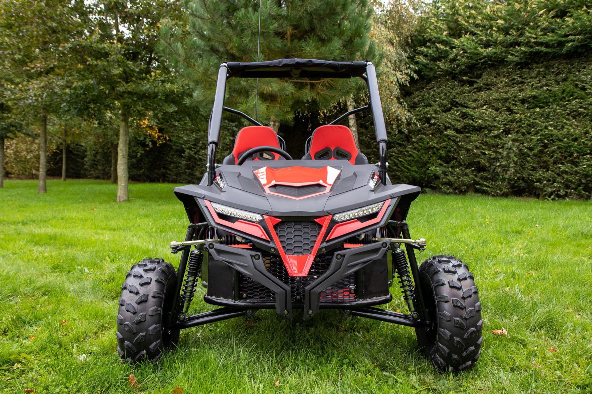 Quadzilla Stingray 210 Side-by-side - Image 3