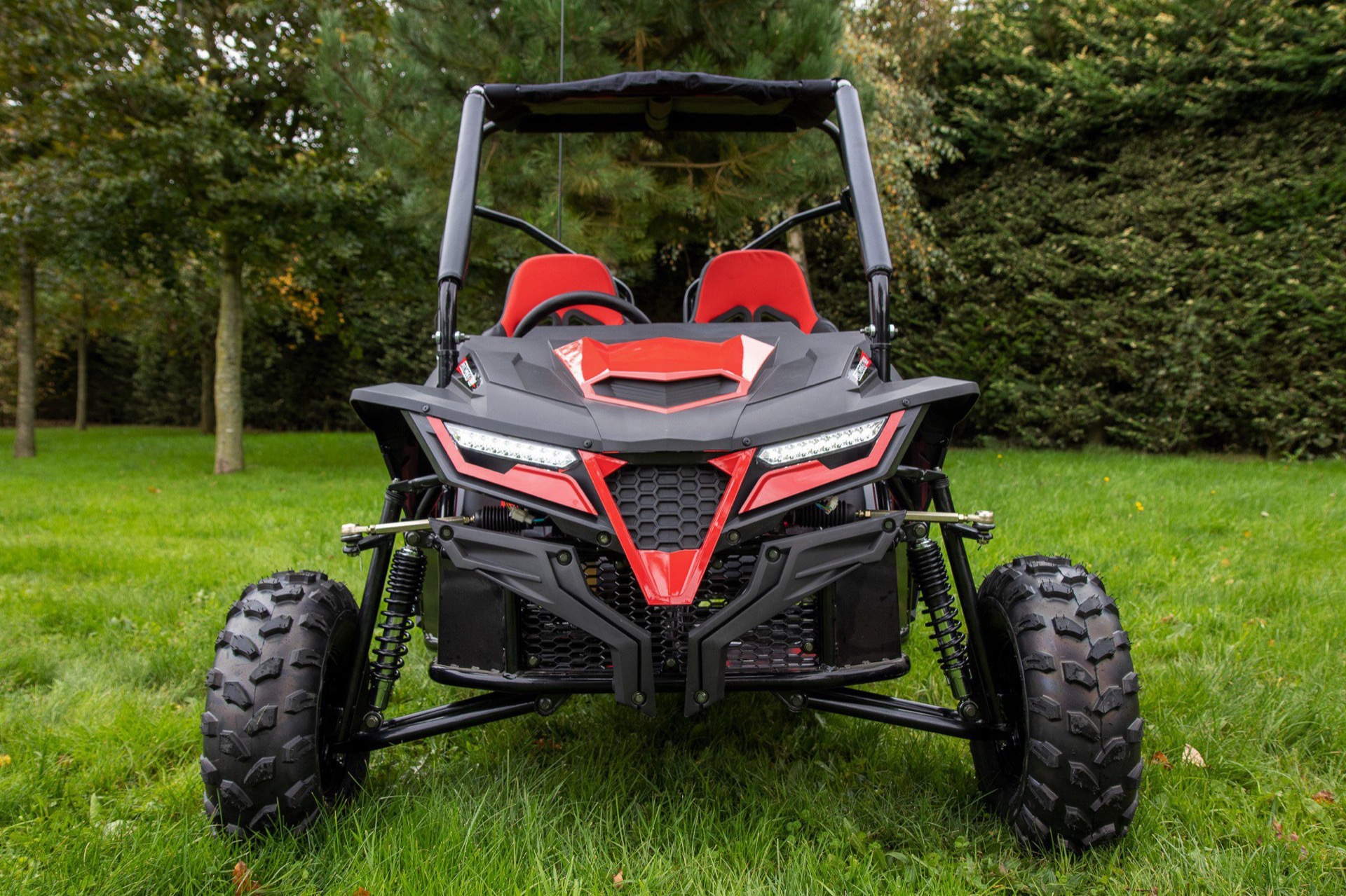 Quadzilla Stingray 210 Side-by-side - Image 4