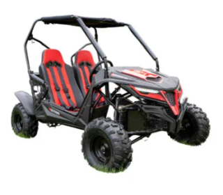 Quadzilla Stingray 210 Side-by-side