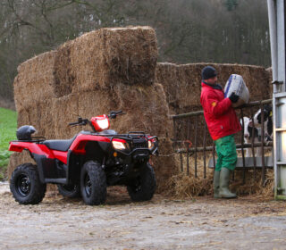Honda Quad Bike