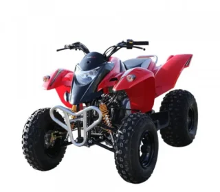 Quadzilla Stinger 100 Quadbike