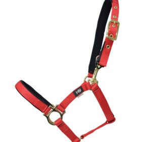 Safe Headcollar Foal