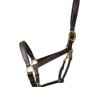 Coldstream Leather Padded Headcollar