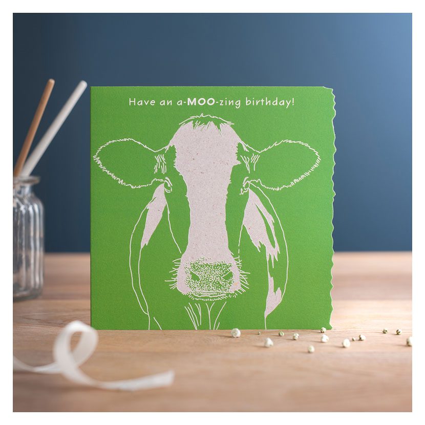 Deckled Edge Colour Block Card