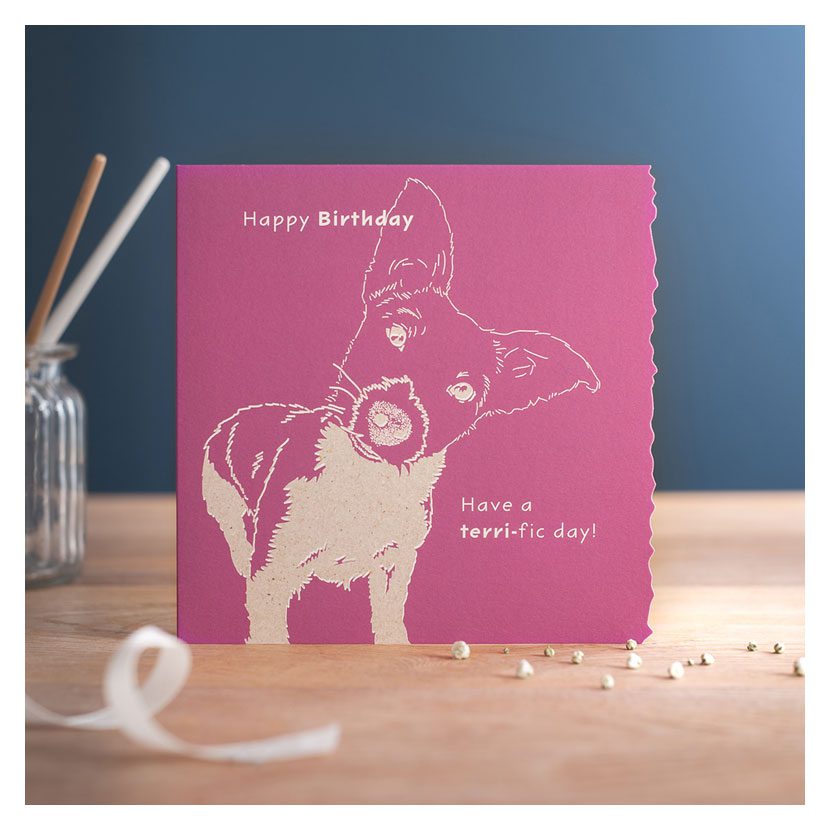 Deckled Edge Colour Block Card