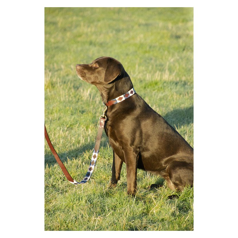 Benji & Flo Sublime Polo Dog Lead - Image 2