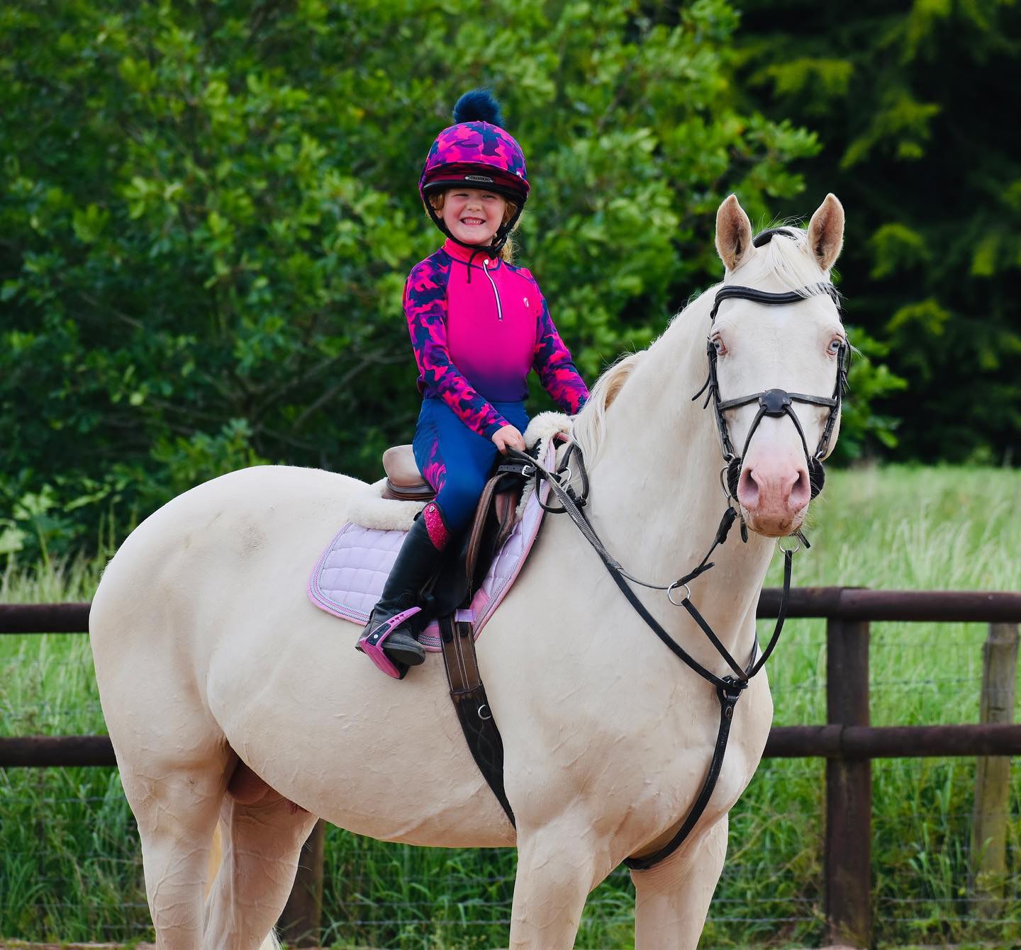 Hy Equestrian Dynaforce Riding Tights Raspberry/Navy - Image 7
