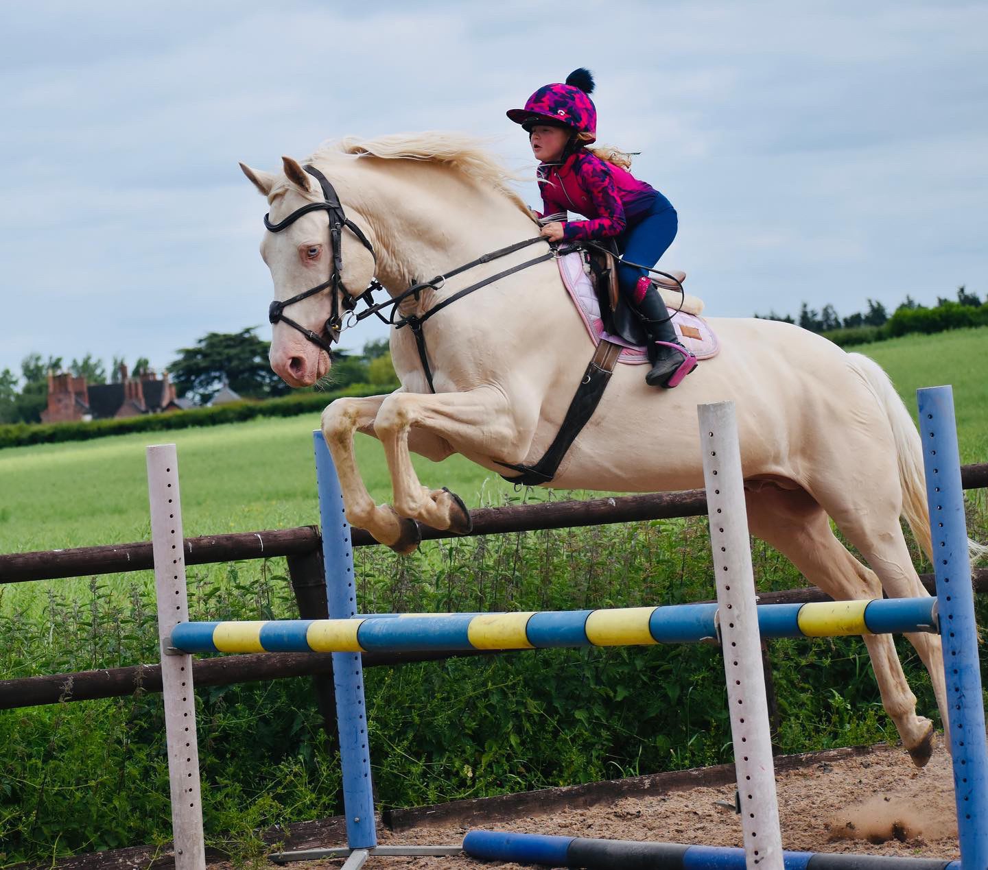 Hy Equestrian Dynaforce Riding Tights Raspberry/Navy - Image 6