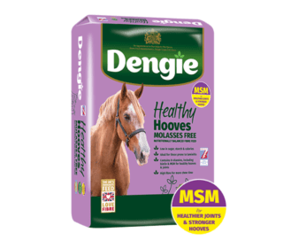 Dengie Healthy Hooves Molasses Free