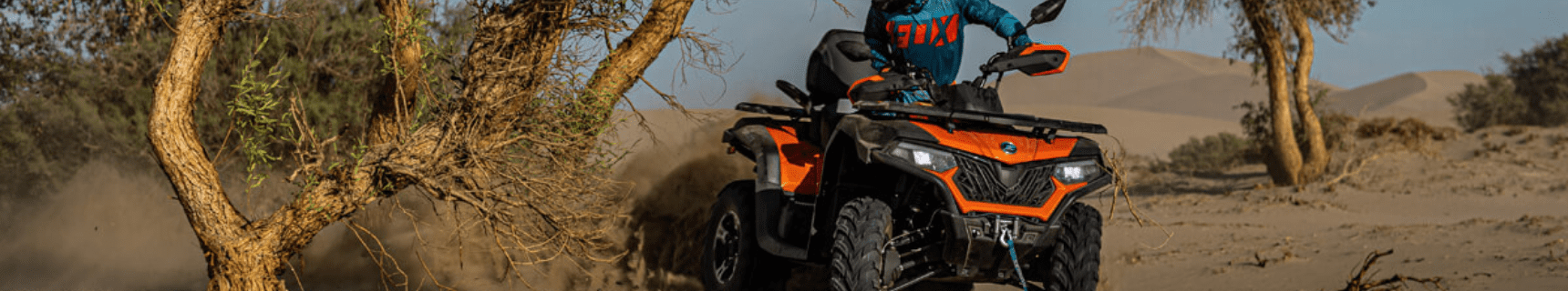 Honda Fourtrax TRX420FM2 Quad Bike Head Image