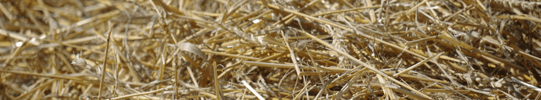 Crediton Milling Layers Pellets Head Image