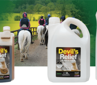 Devils Relief 5L