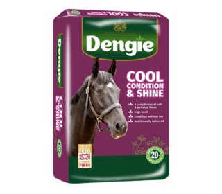 Dengie Cool, Condition & Shine