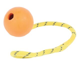 Ropefloat 2.5" Dog Toy