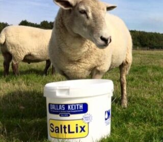 Dallas Keith Hi-Zinc SaltLix