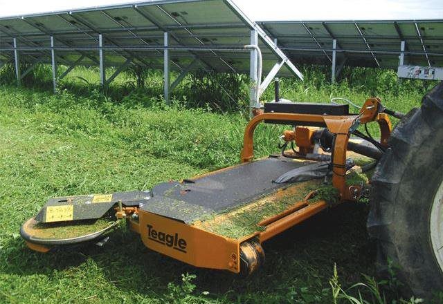 Teagle Flail Mowers and Mulchers - Handy Inter-Row Mulcher - Image 2