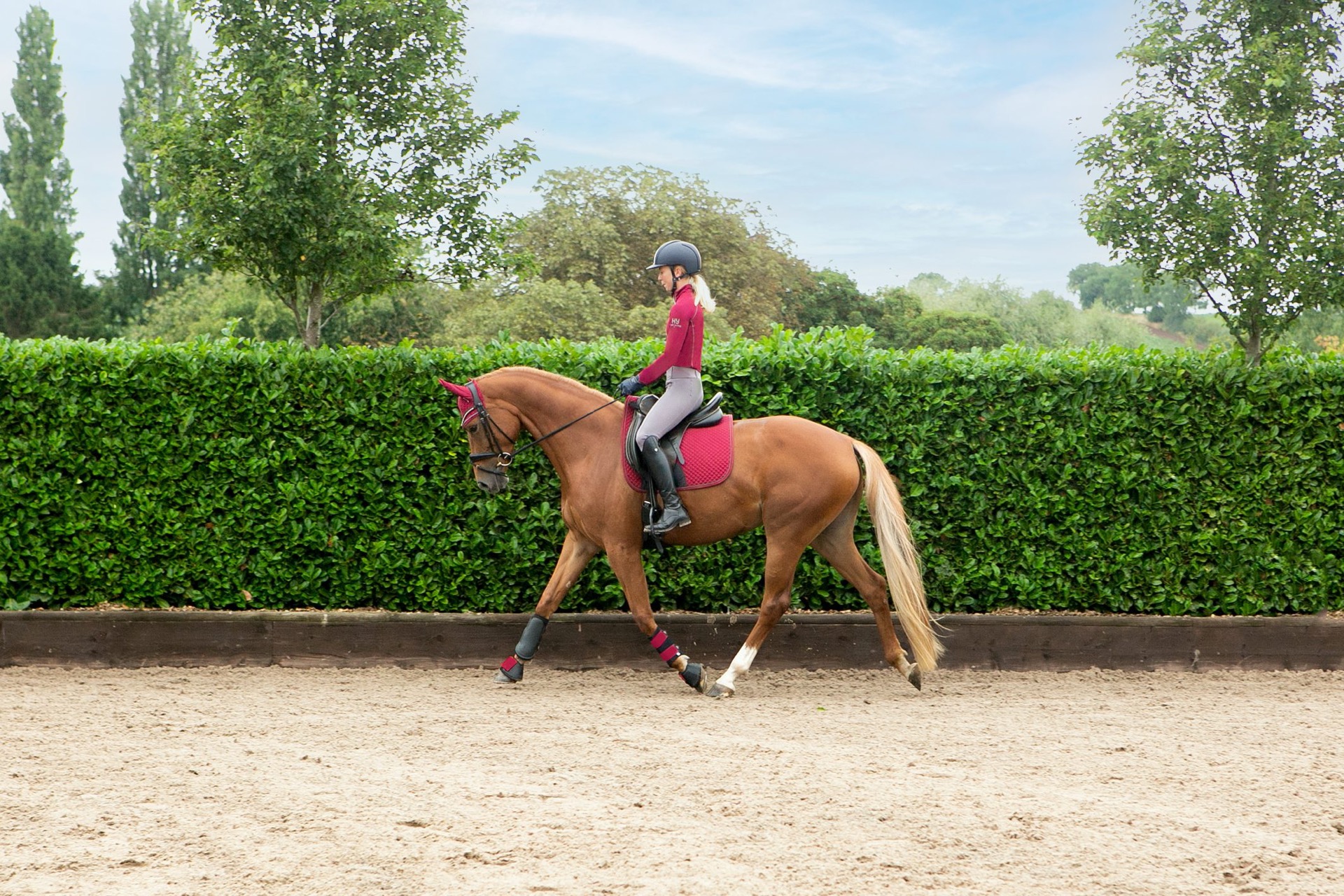 Hy Sports Active Brushing Boots - Image 27