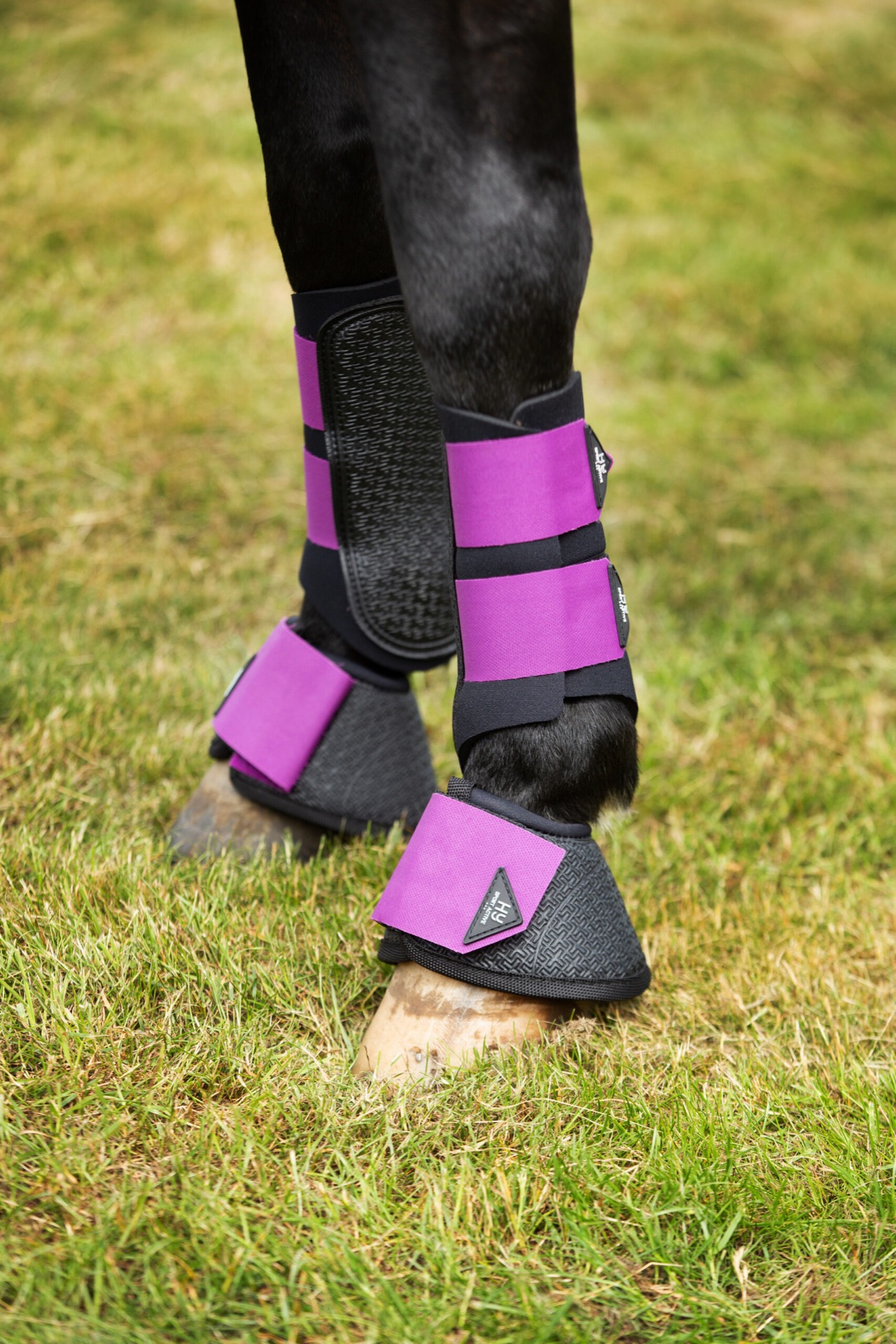 Hy Sports Active Brushing Boots - Image 26