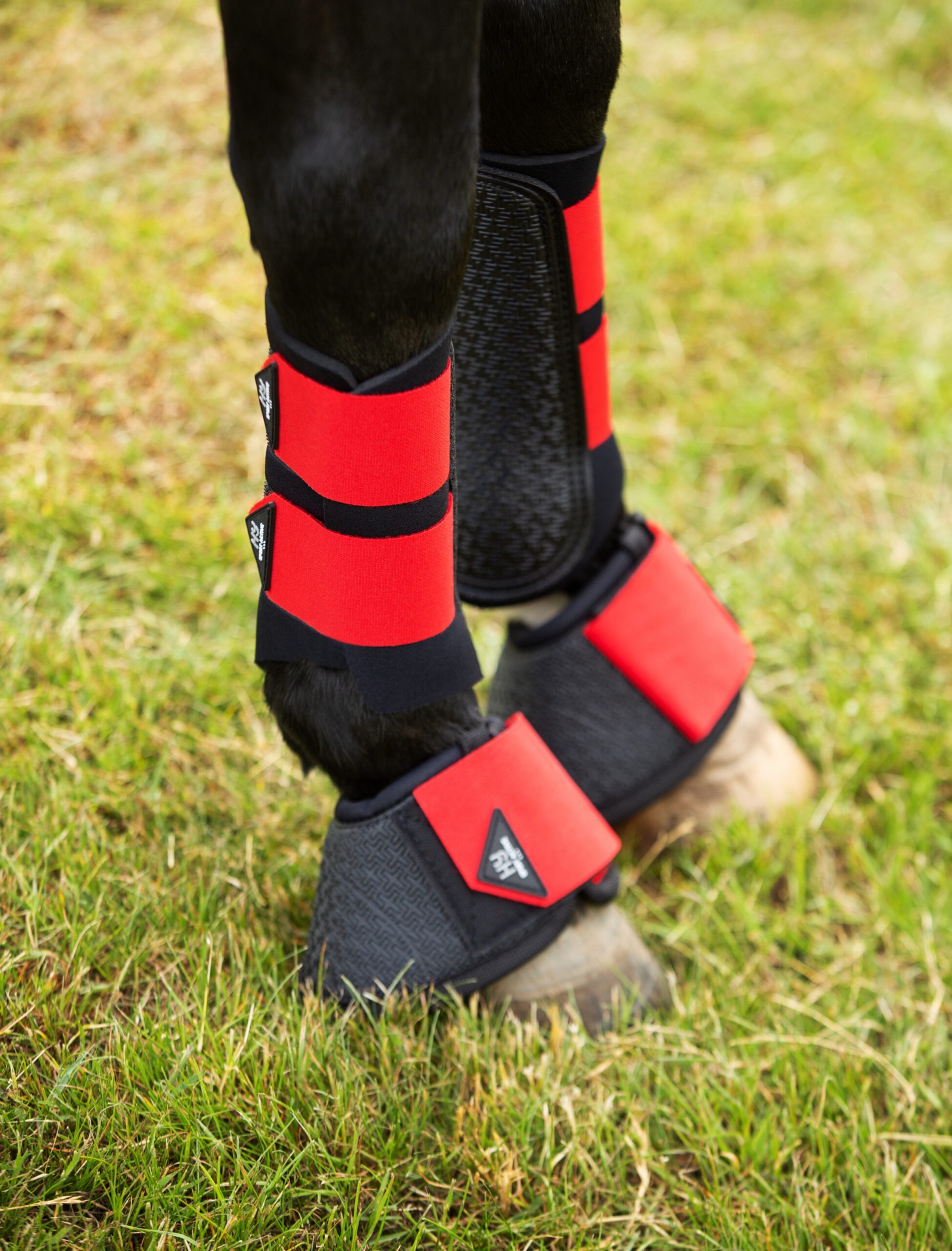 Hy Sports Active Brushing Boots - Image 25