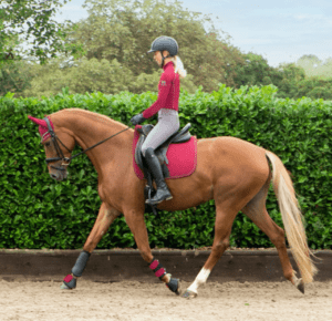 Equestrian Supplies