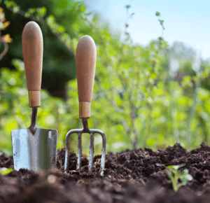 Gardening
